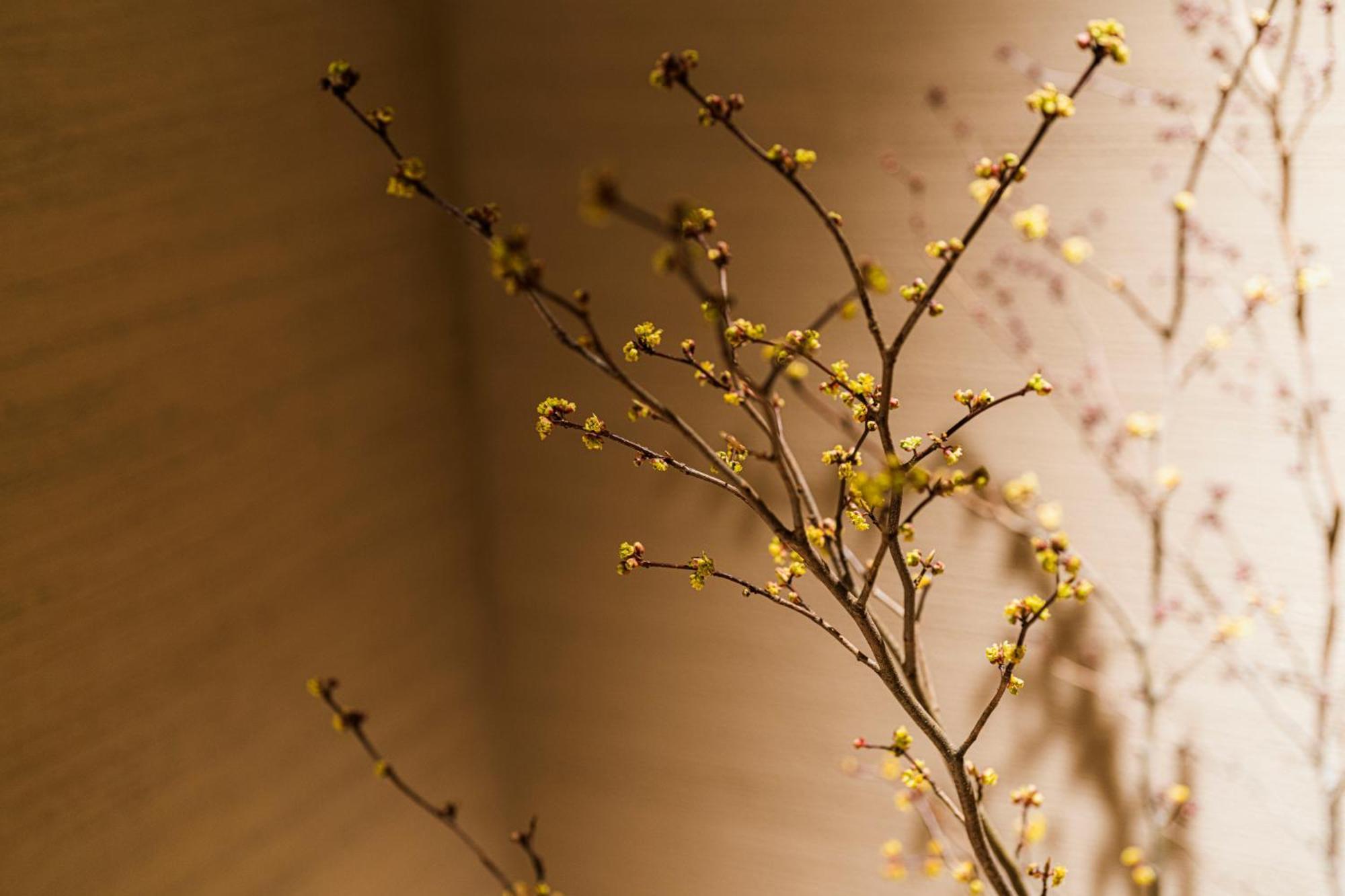 Shinzan Kinosaki Hotell Toyooka  Exteriör bild